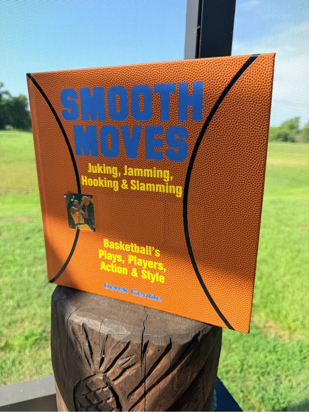 Smooth Moves Basketball Book Derek Gentile Juking Jamming Hooking Slamming